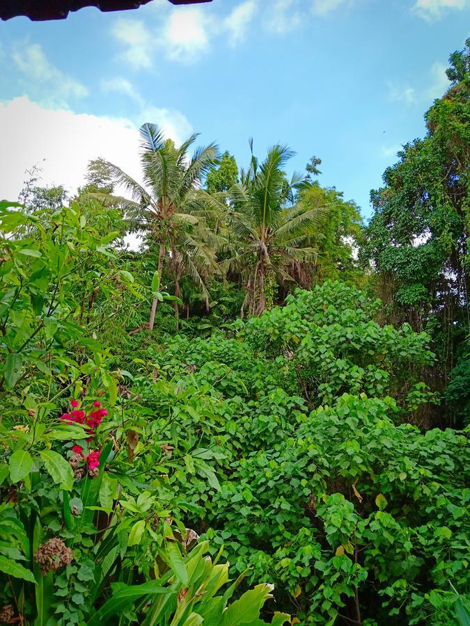Apartament Karma House Ubud Zewnętrze zdjęcie