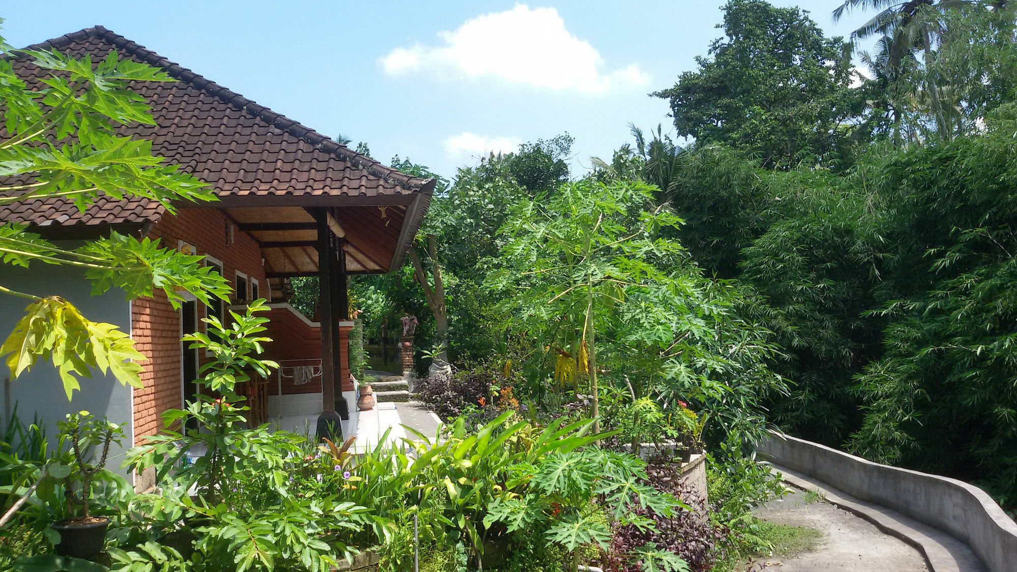 Apartament Karma House Ubud Zewnętrze zdjęcie