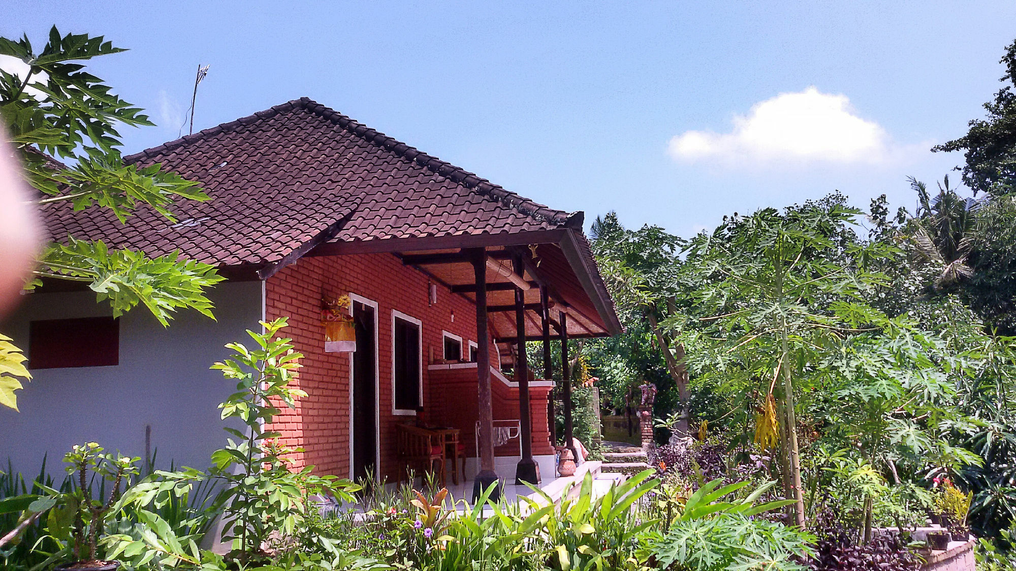 Apartament Karma House Ubud Zewnętrze zdjęcie